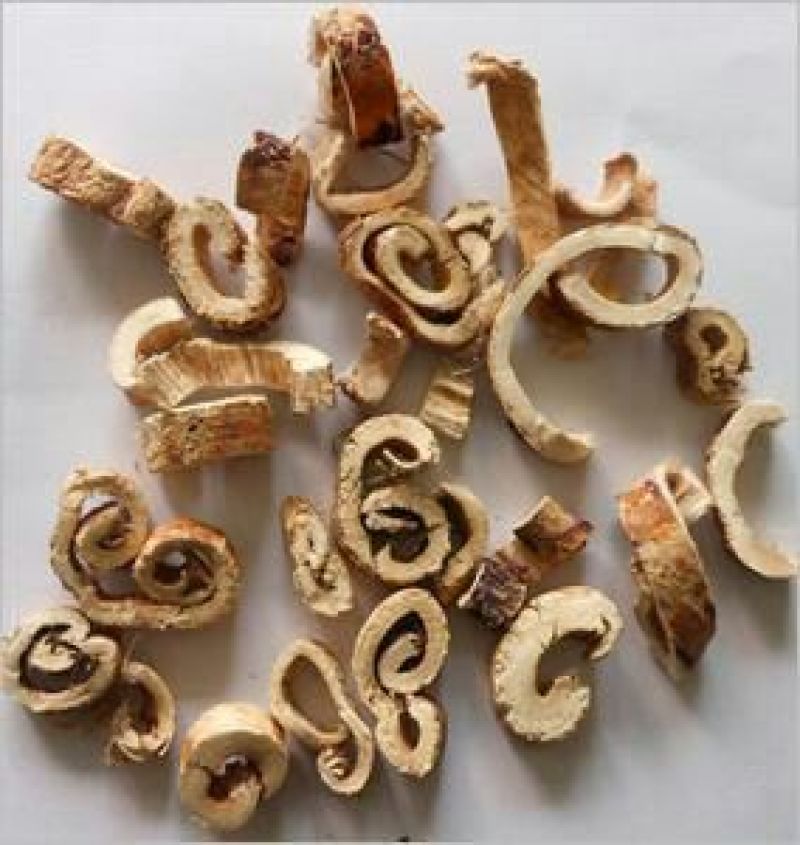 桑白皮湖北1公斤起批无硫无添加不包邮正品
