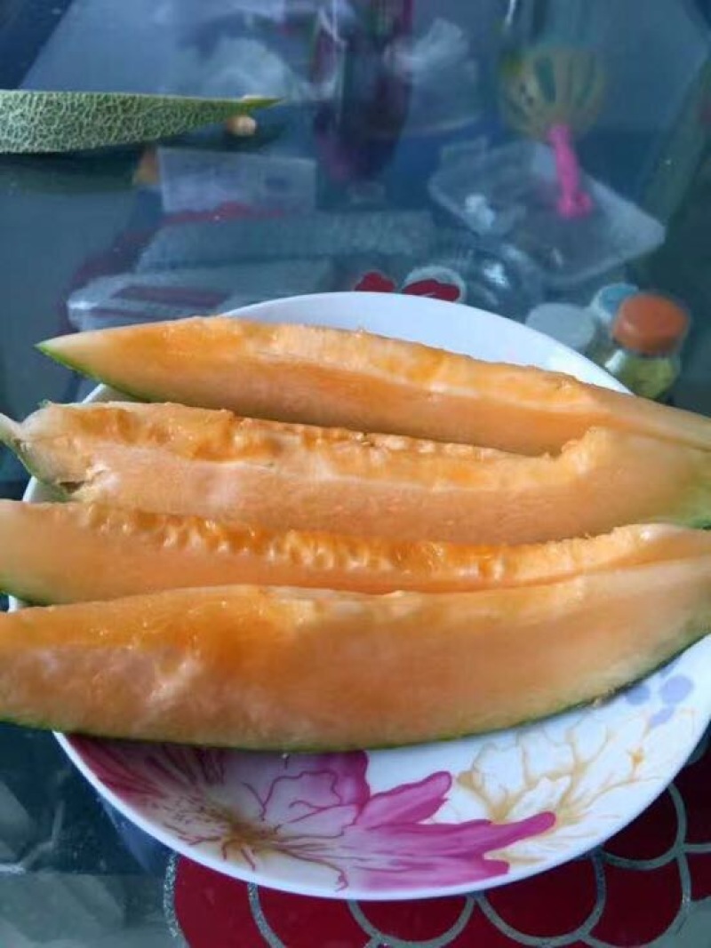 哈密瓜