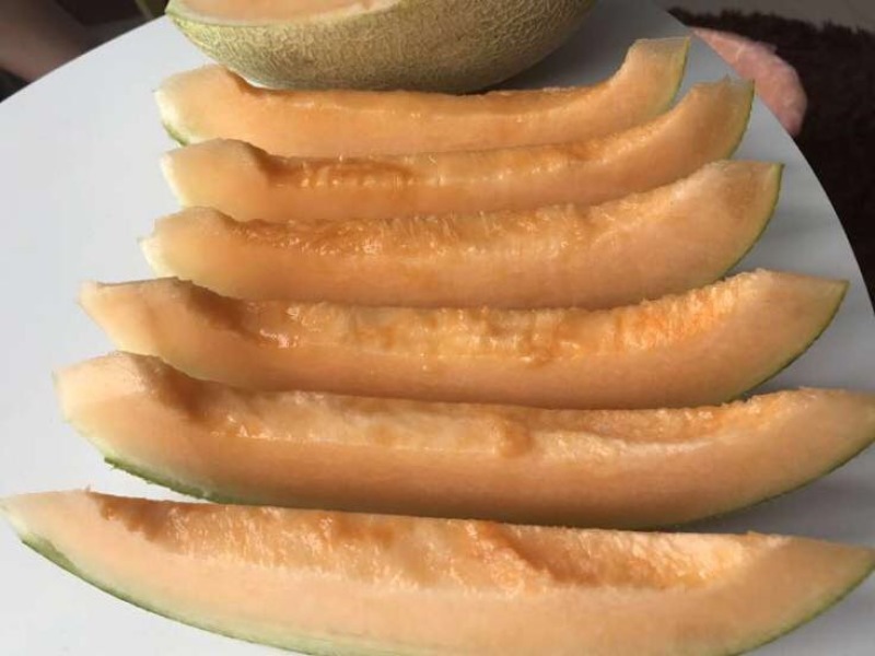 哈密瓜