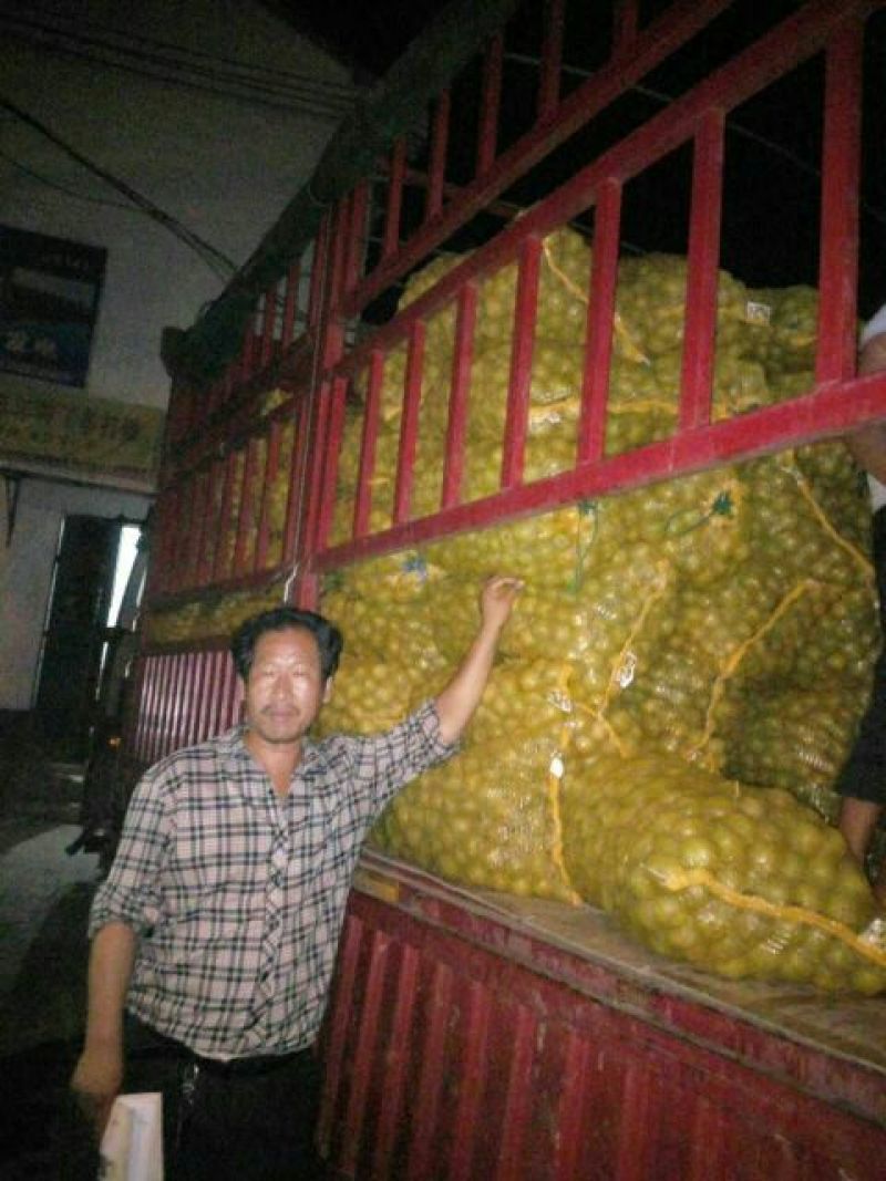 青皮核桃青皮湿