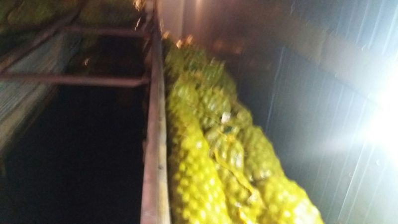 青皮核桃青皮湿
