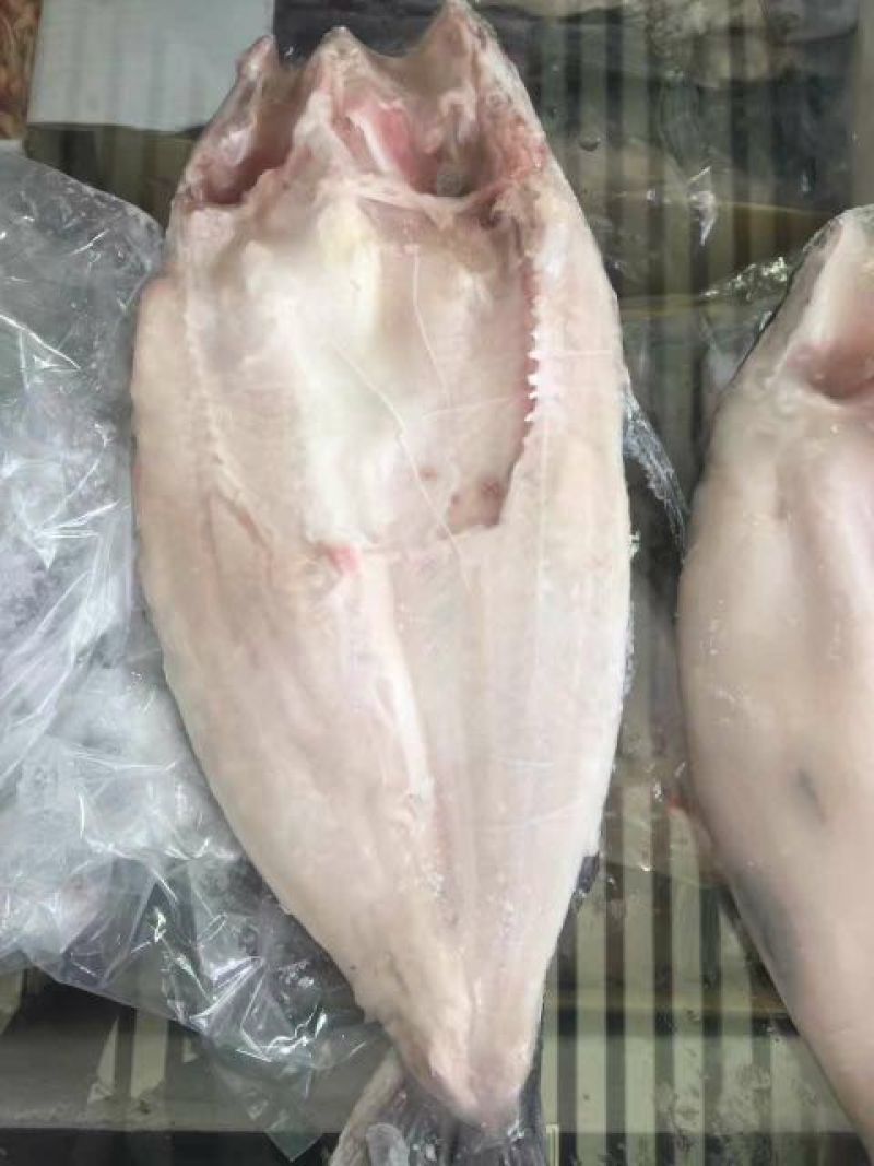巴沙鱼