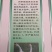 白鹅苗250g以下