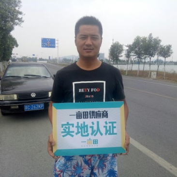 四粒红鲜花生现货供应，需要的联系，时时报价提供咨询服务
