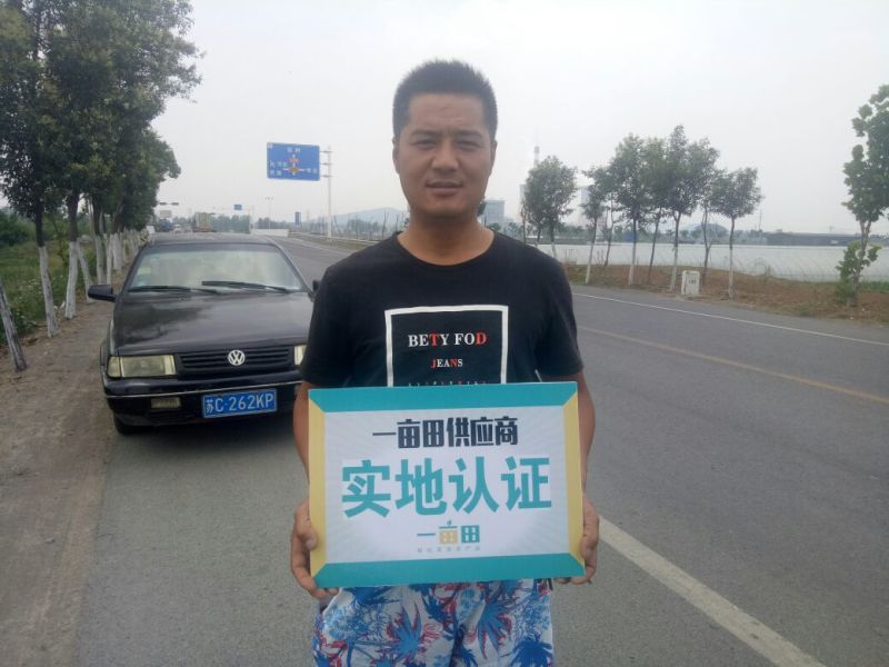四粒红鲜花生现货供应，需要的联系，时时报价提供咨询服务