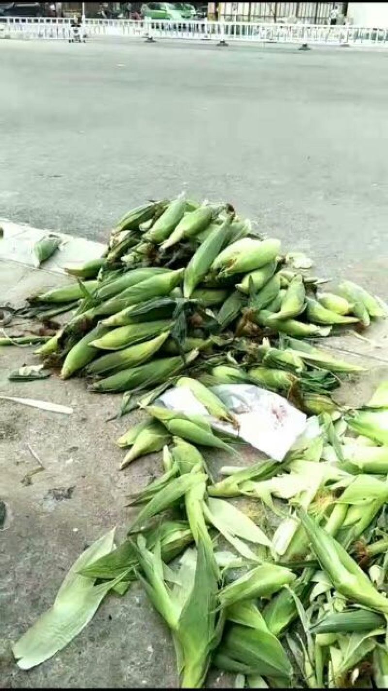 玉米纤维