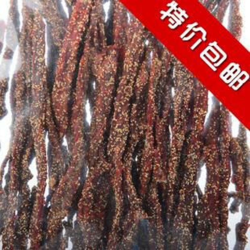 干巴菌二级