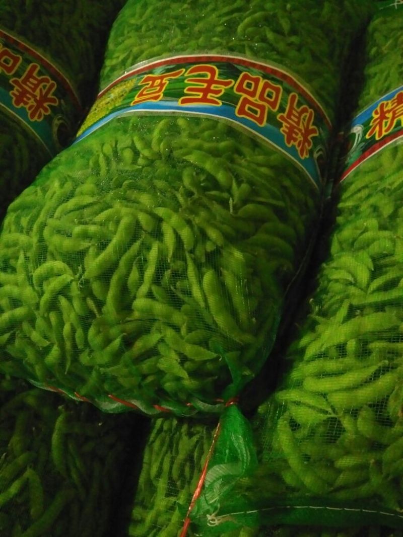 翠绿宝，精品大夹翠绿宝，优质货源，上货量大！