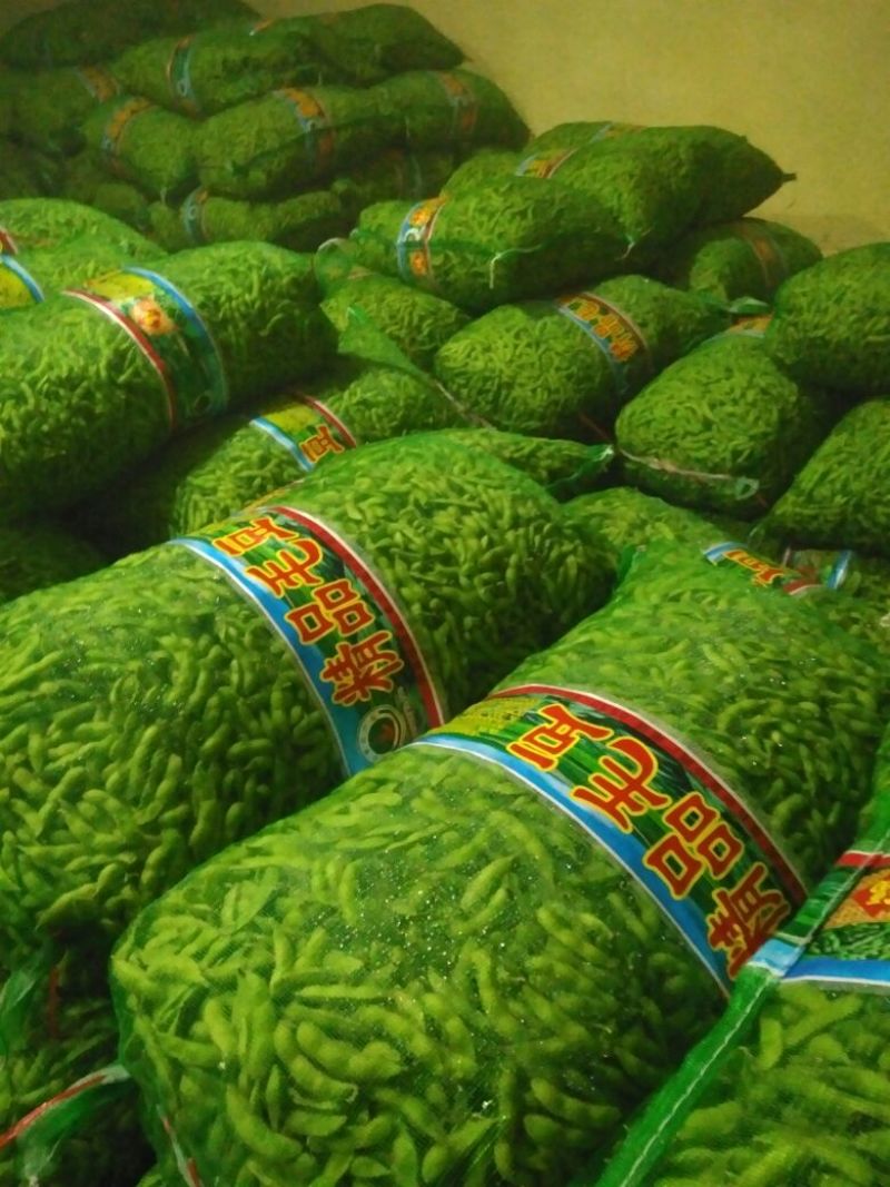 翠绿宝，精品大夹翠绿宝，优质货源，上货量大！