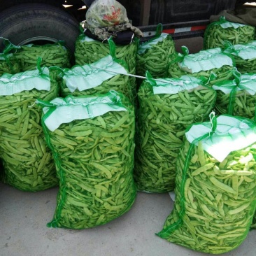 【精品】吉林油豆角大量上市货源充足全国代发〔支持视频