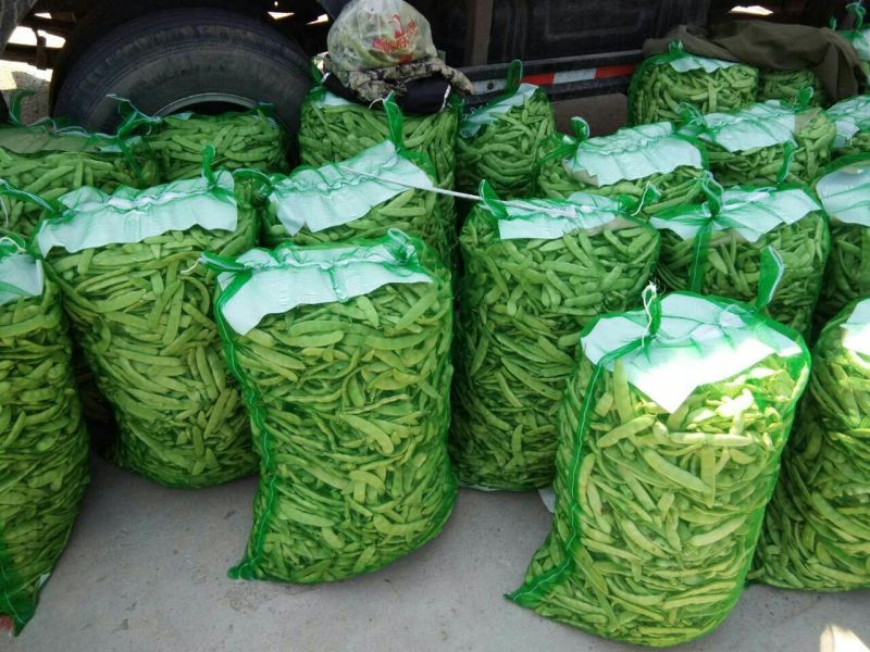 【精品】吉林油豆角大量上市货源充足全国代发〔支持视频