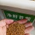 紫花苜蓿种子进口紫花苜蓿草种黑麦草种籽紫云英多年生四季