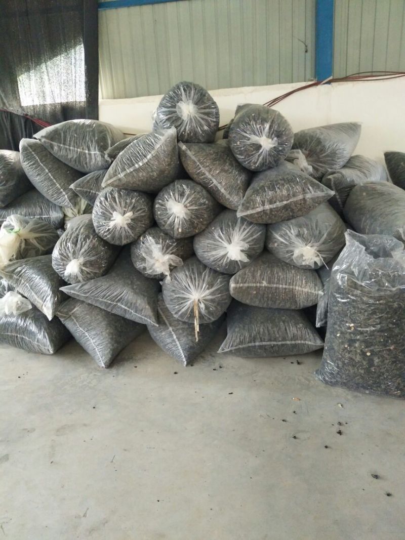 黑木耳二级