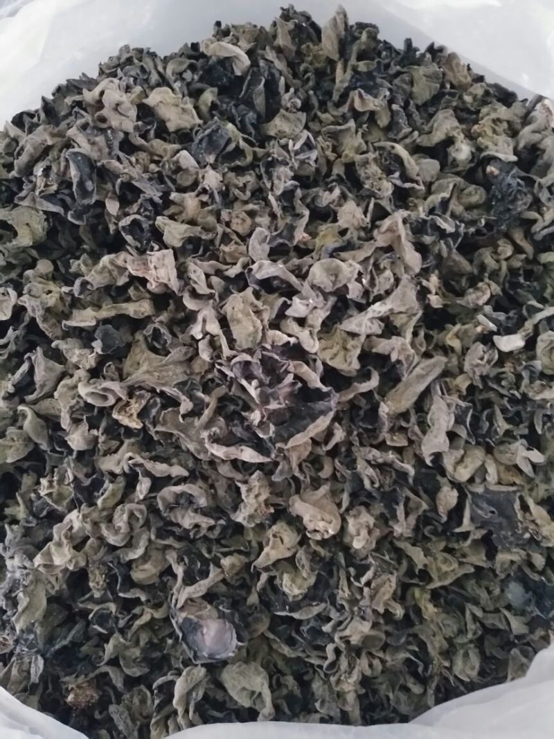 黑木耳二级