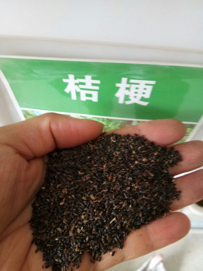 桔梗种子纯新桔梗种籽桔梗花种子桔梗籽