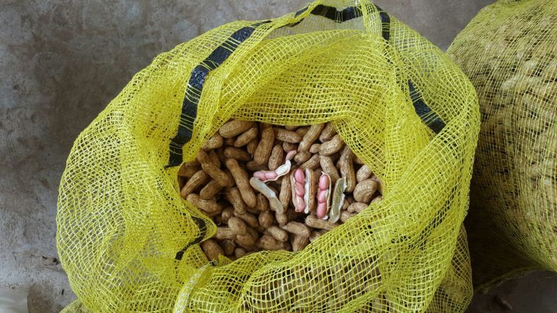 四粒红红米花生鲜货带壳