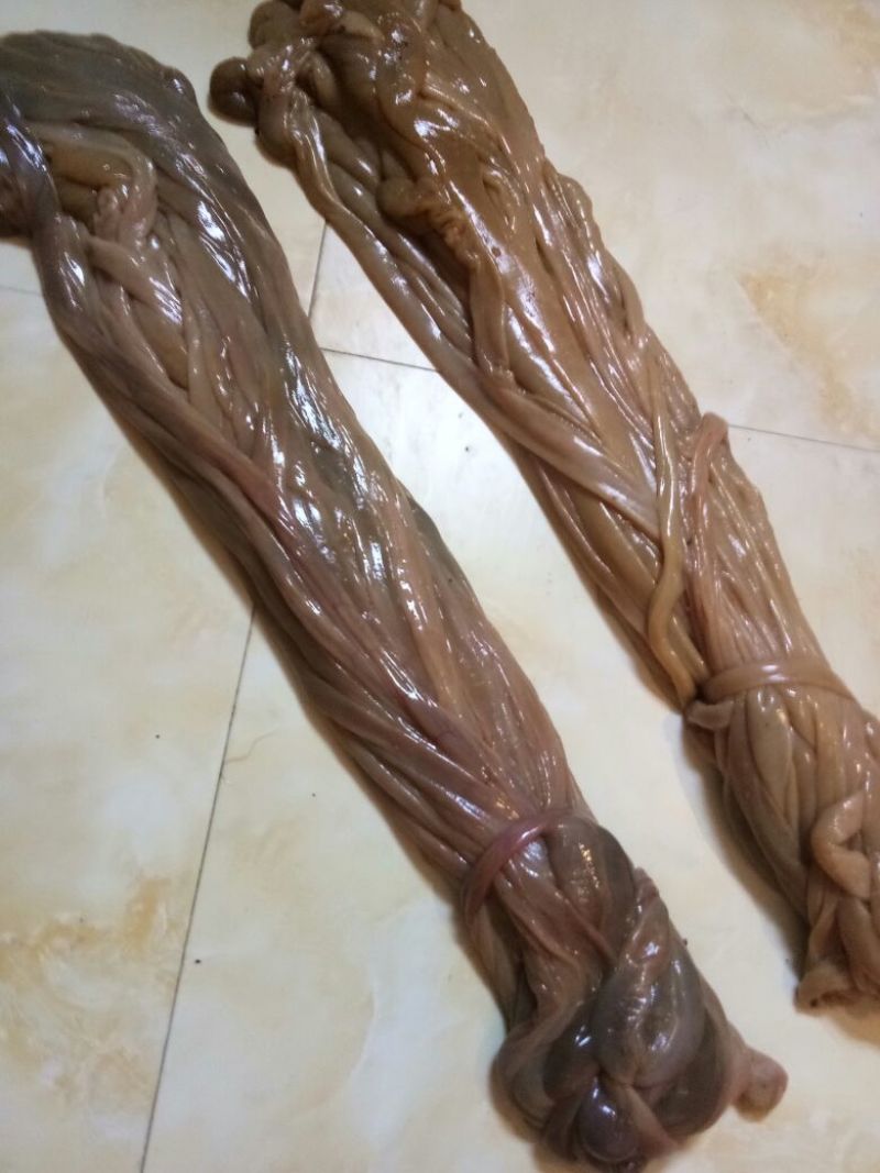 羊肠散装