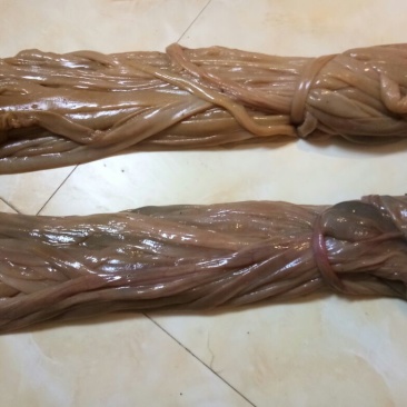 羊肠散装