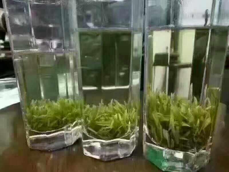 菊花茶特级
