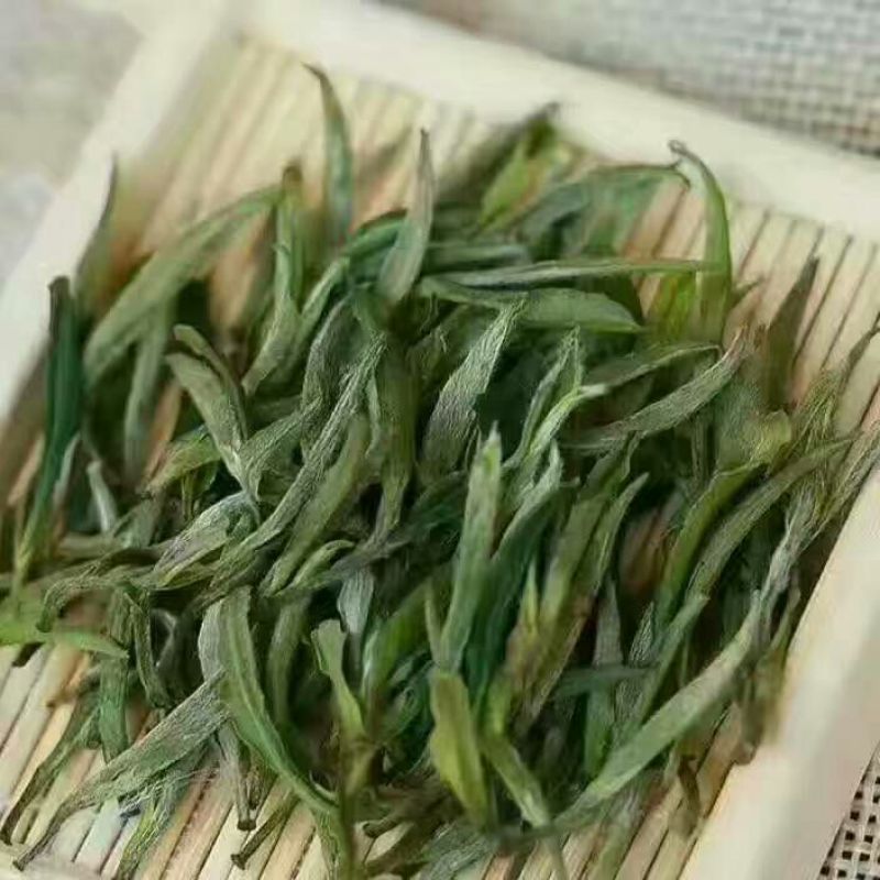 菊花茶特级