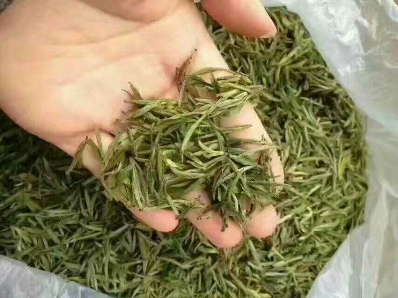 菊花茶特级