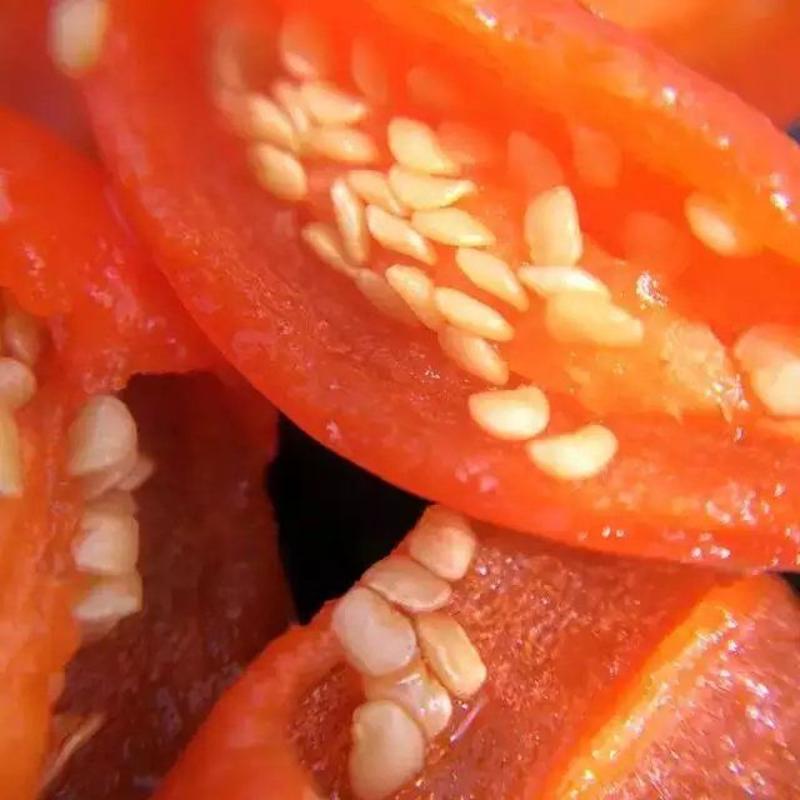 红枸杞，小尖椒枸杞是一种产量极少，外观看起来像小辣，