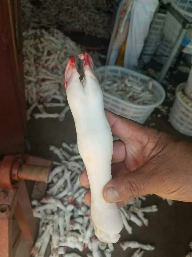羊蹄400g