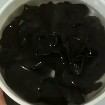 干木耳黑木耳