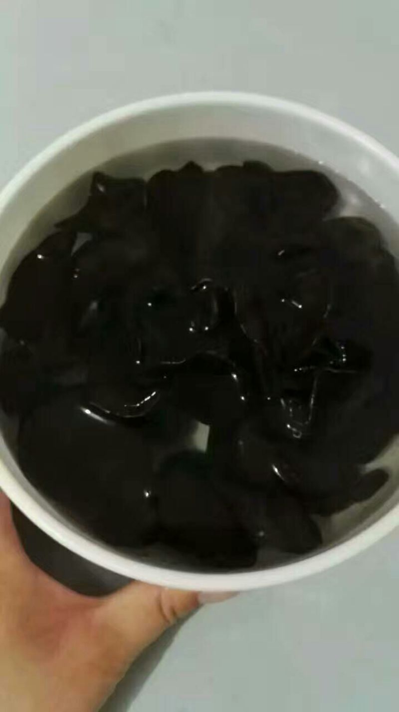 干木耳黑木耳