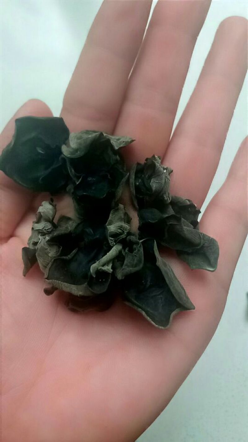 干木耳等外