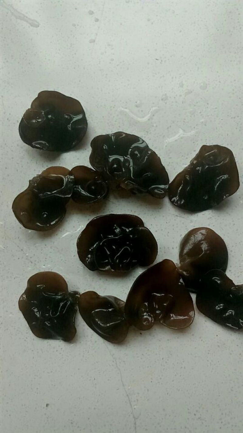 干木耳等外