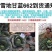 甘蓝种子～越冬甘蓝662