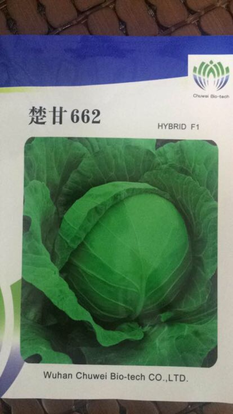 甜瓜，甘蓝种子品质没问题