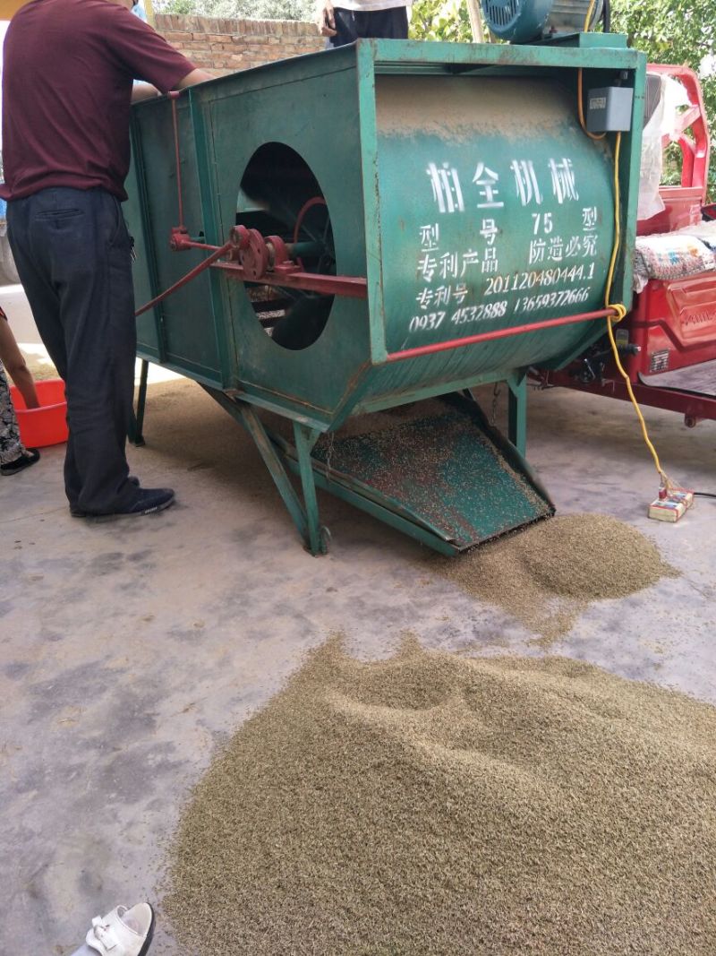 孜然