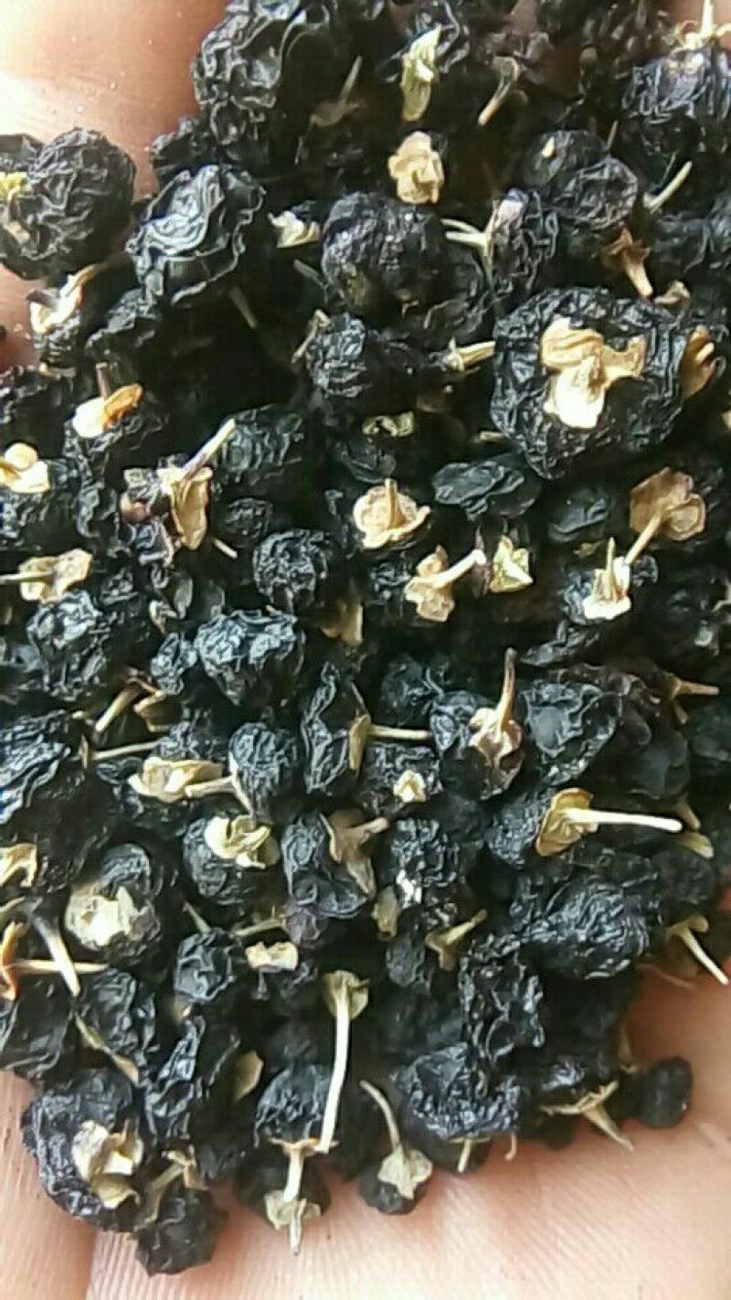 黑枸杞头茬干货