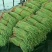 长豆角70厘米以上，质量保证，大量供货