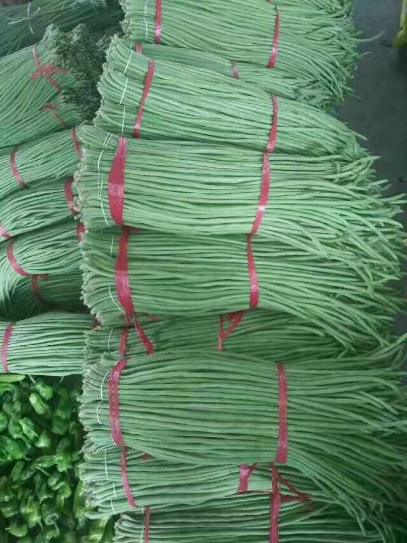 长豆角70厘米以上，质量保证，大量供货