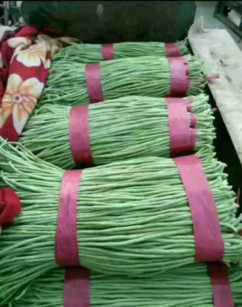 长豆角70厘米以上，质量保证，大量供货