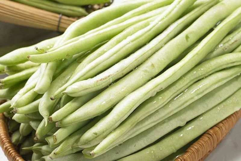 白条豆角20厘米以上