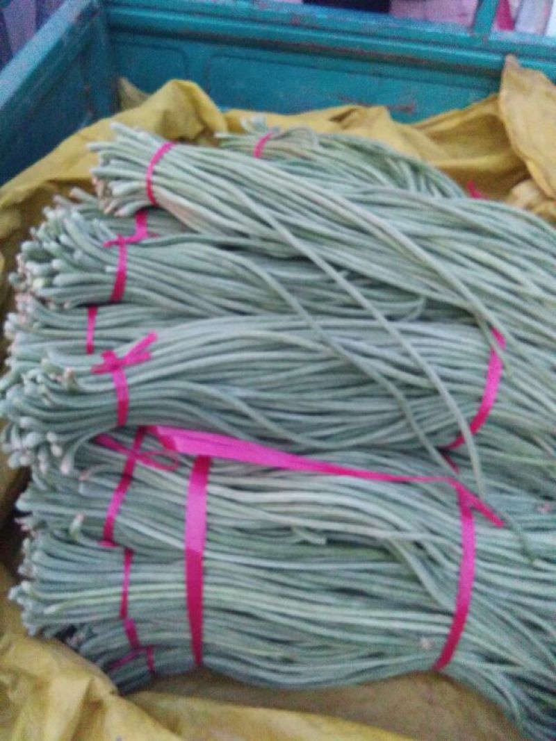 长豆角70厘米以上，专共市场，加工厂，超市。代收，代发