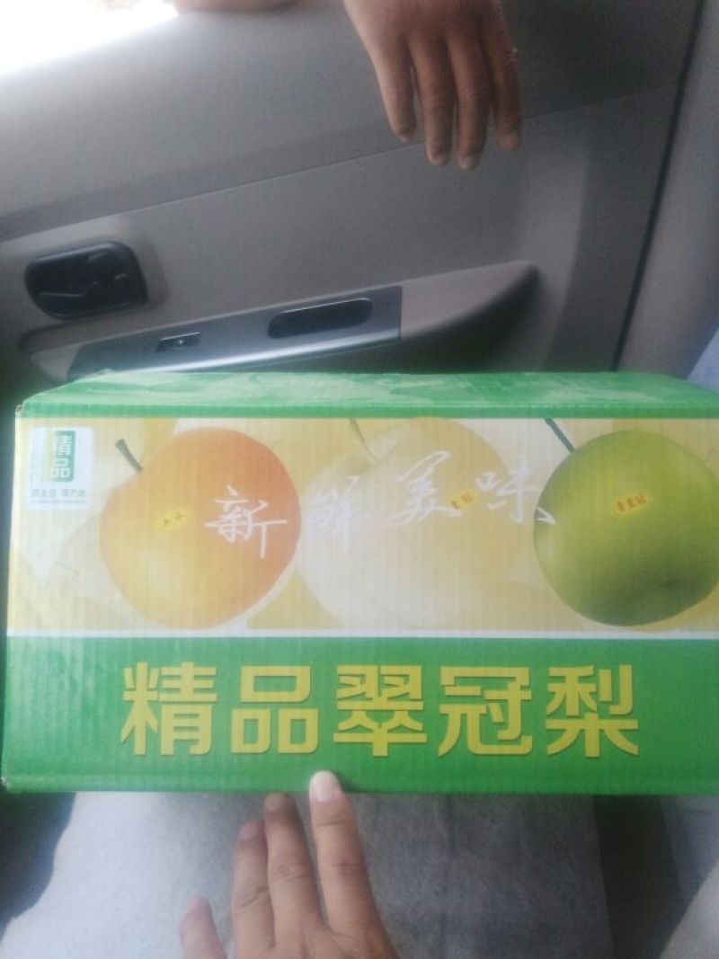 皇冠梨300~350g纸袋