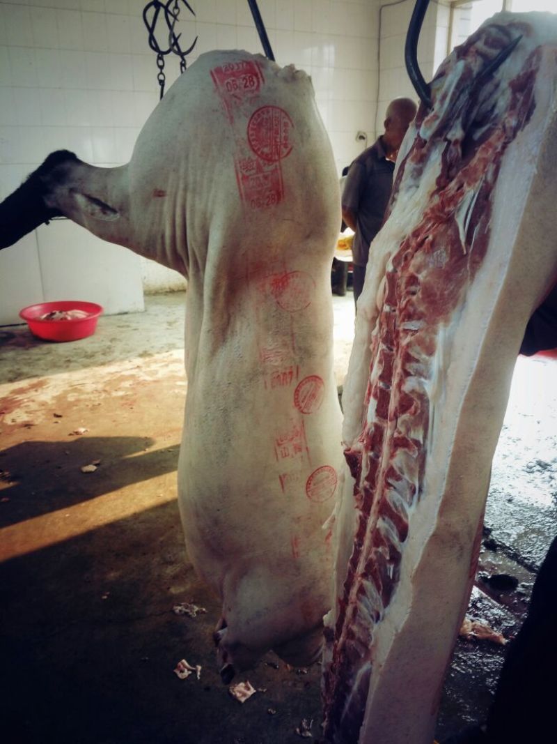 黑猪肉食用