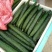黄瓜22~25公分干花带刺