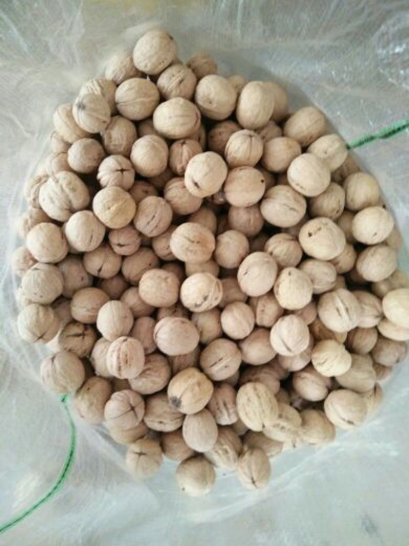 新疆核桃仁一二三路尖白普白黄仁黑仁都有，自己加工