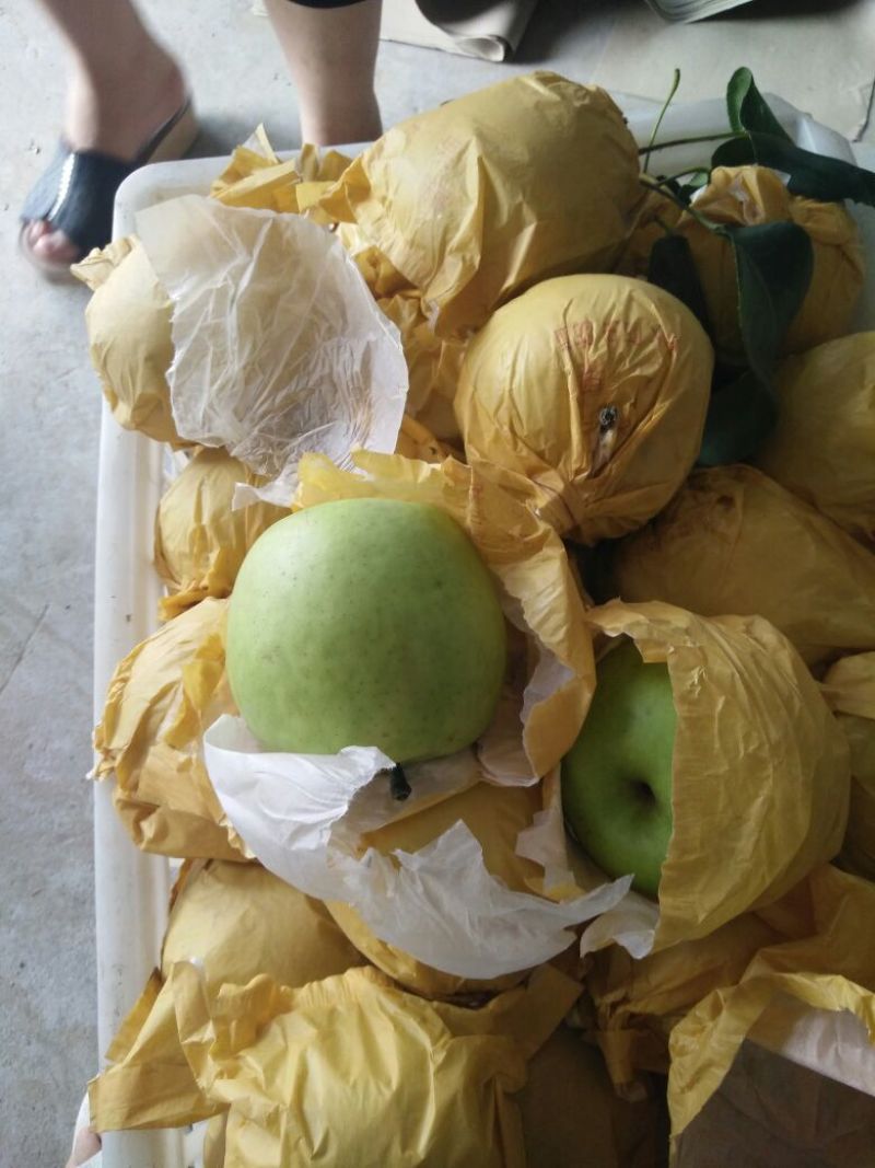 皇冠梨纸袋150~200g，货源充足，量大从优