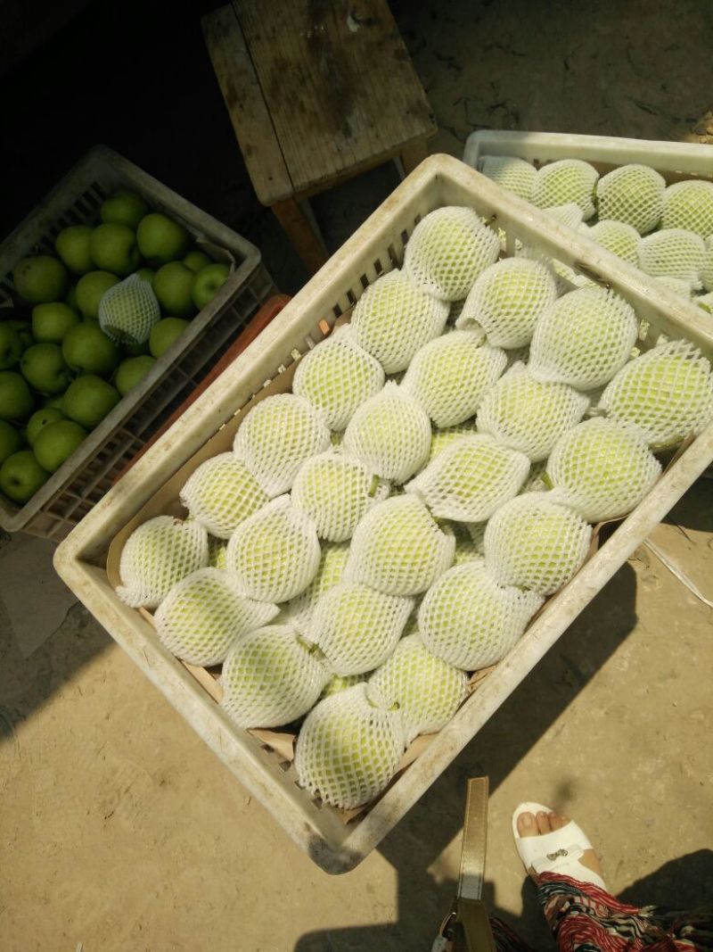 皇冠梨纸袋150~200g，货源充足，量大从优