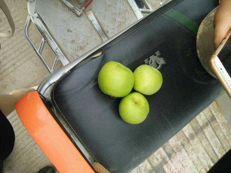 皇冠梨纸袋150~200g，货源充足，量大从优