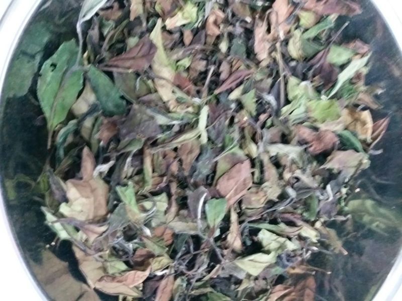 福鼎白茶一级