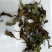 福鼎白茶一级