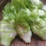 儿菜5两以上